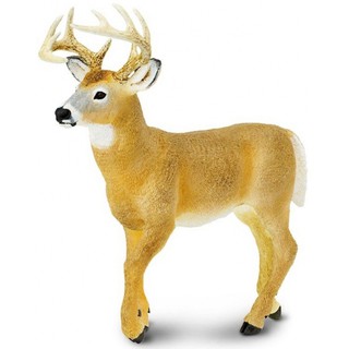 Safari Ltd. : SFR113589 โมเดลสัตว์ Whitetail Buck