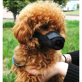 พร้อมส่ง dog muzzle ที่ครอบปากสุนัข  ครอบปากสุนัขกันเห่า  ตะกร้อครอบปากสุนัข