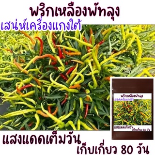 30 เมล็ด พริกเหลืองพัทลุง กลิ่นหอม เผ็ดร้อน! เมล็ดพันธุ์พริกเหลืองพัทลุง