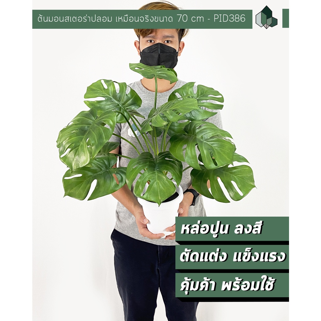 ต้นมอนสเตอร่าปลอม 14 ใบเหมือนจริง [ออกใบกำกับภาษีได้ ]