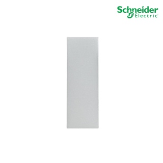 Schneider Electric M3T01BC_GY - ฝาอุดช่องว่าง 1 ช่อง สีเทา Blank cover module, Gray รุ่น AvatarOn A ฝาปิดช่องว่างสีเทา