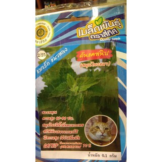 เมล็ดต้นแคทนิป  บรรจุ 0.1 กรัม/ซอง ตราสี่ทิศ เมล็ดผัก เมล็ดพันธุ์ ตรา สี่ทิศ 4ทิศ แมว เมล็ดต้นแคทนิป ( กัญชาแมว )