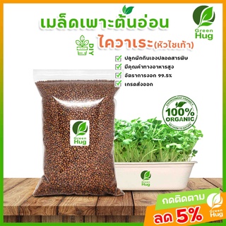 เมล็ดไควาเระ (หัวไชเท้า) Organic (Radish Seeds Organic 300 g./500 g./1000 g.)GREENHUG เมล็ดต้นอ่อน