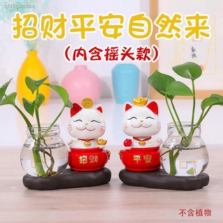 แมวนำโชค ของตกแต่งบ้าน การตกแต่ง ▥Lucky cat เครื่องประดับขนาดเล็ก hydroponic ของขวัญวันเกิด แจกัน ของขวัญ กล่องตาบอด ของ