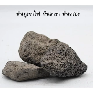 หินลาวา**วัสดุกรองจากธรรมชาติ ช่วยดูดซับสารพิษ สารแอมโมเนีย ไนไตรต์ ไนเตรต มีรูพรุนสูง** ช่วยกรองน้ำใส