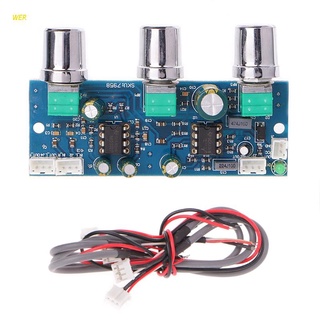 Wer Ne5532 บอร์ดกรองแสงซับวูฟเฟอร์ Dc12-24V 2.1Ch/Pre-Amplifier Preamp Board สําหรับเครื่องขยายเสียง