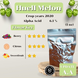 Huell Melon Hops GER  (1oz)  Crop years 2020  (บรรจุด้วยระบบสูญญากาศ)