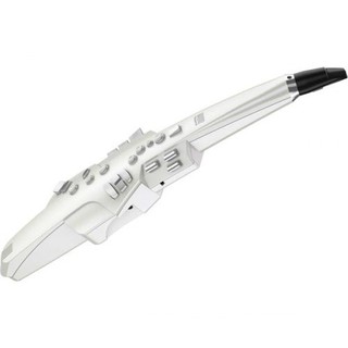 Roland Aerophone AE-10 Digital Wind Instrument เครื่องเป่าลมไม้ดิจิตอล