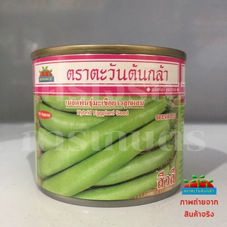 เมล็ดมะเขือยาว สีวลี  20g ตะวันต้นกล้า