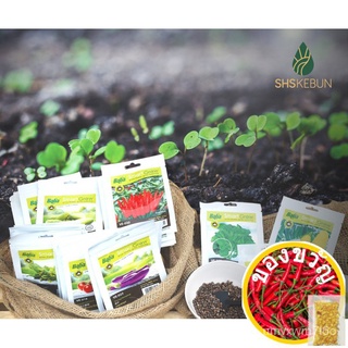 Baba Chinese cabbage seeds เมล็ดพันธุ์จีน F1 HYBRID Non-GMO VE-068 SHS Garden seeds TYEP