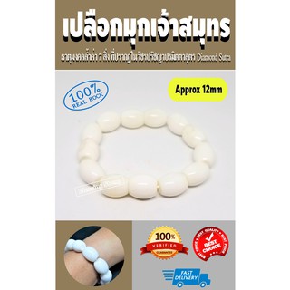 สร้อยข้อมือเปลือกมุกจ้าวสมุทร หินเจ้าสมุทร ธาตุมงคลล้ำค่า 7 สิ่ง ที่ปรากฏในวัชรปรัชญาปรมิตตาสูตร Diamond Sutra Shell Bra