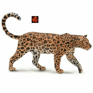 ตุ๊กตาฟิกเกอร์ African Leopard African Wildlife โดย Collecta 88866 แบรนด์ใหม่