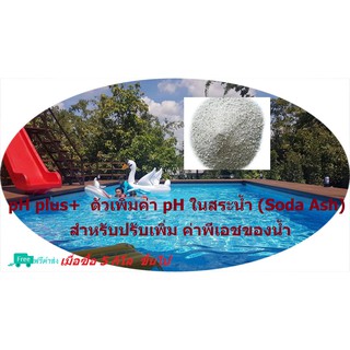 pH plus+  ตัวเพิ่มค่าพีเอช(pH)  ในน้ำ