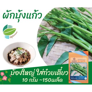 ผักบุ้งแก้ว ผักบุ้งก๋วยเตี๋ยว​ (Chinese Convolvulus)​