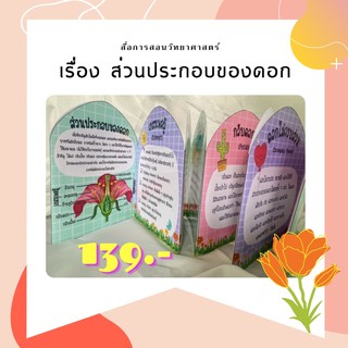 สื่อการสอนวิทยาศาสตร์ เรื่อง ส่วนประกอบของดอก 🌺