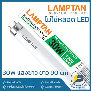 (แพคละ 5 หลอด) Lamptan หลอดนีออน T8 30W (ยาว) แสงขาว (ยาว 90cm)