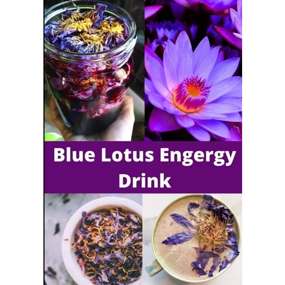 ชาบัวBlueLotusแบบกลีบ+เกสร บรรจุกระปุก ตากแห้งธรรมชาติ100% - รูปที่ 3
