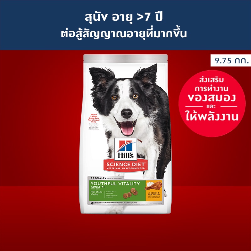 Hills Science Diet Senior Vitality Adult 7 อาหารสุนัข อายุ 7 ปีขึ้นไป ...