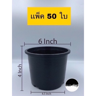 กระถางต้นไม้พลาสติก 6 นิ้ว ทรงกลม ดำ แพ็ค 50 ใบ กระถางต้นไม้พลาสติก กระถางกระบองเพชร กระถางแคคตัส