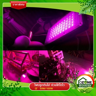 ไฟปลูกต้นไม้ ไฟช่วยต้นไม้ตัวเร็ว มีสวิตช์ปิดเปิด สายไฟยาว1.5เมตร 220V Full Spectrum LED Grow Light 50W/100W