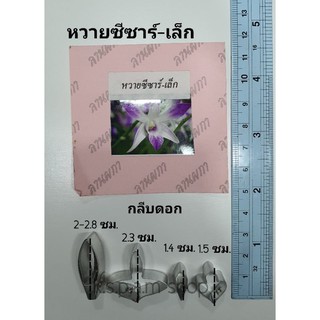 พิมพ์ตัดหวายซีซาร์ขนาดเล็ก