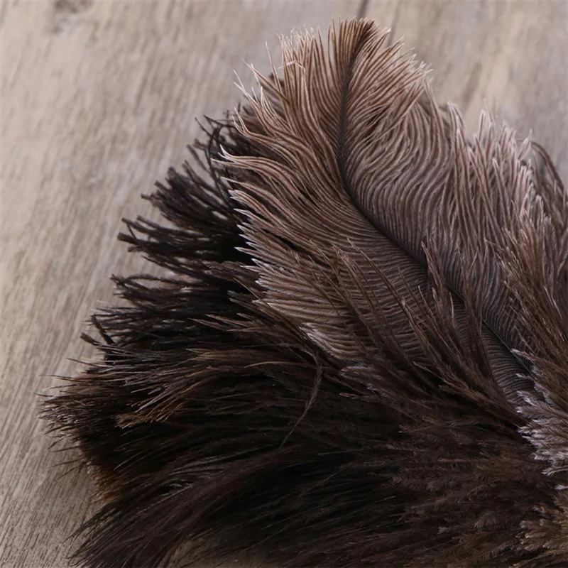 Alia นกกระจอกเทศ Duster Feather แปรงทําความสะอาดด้ามยาวคอมพิวเตอร์กําจัดฝุ่นสําหรับบ้านห้องนอนหอพักคีย์บอร์ดสําหรับ - รูปที่ 4