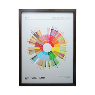 Poster พร้อมกรอบรูป Flavor Wheel (New)