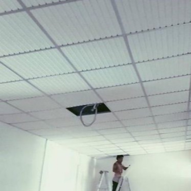 ฝ้ากันน้ำไม้พลาสวูด+PE กันปลวก ไม่ลามไฟ ขนาด60*60Cm.(ราคาต่อเเผ่น)