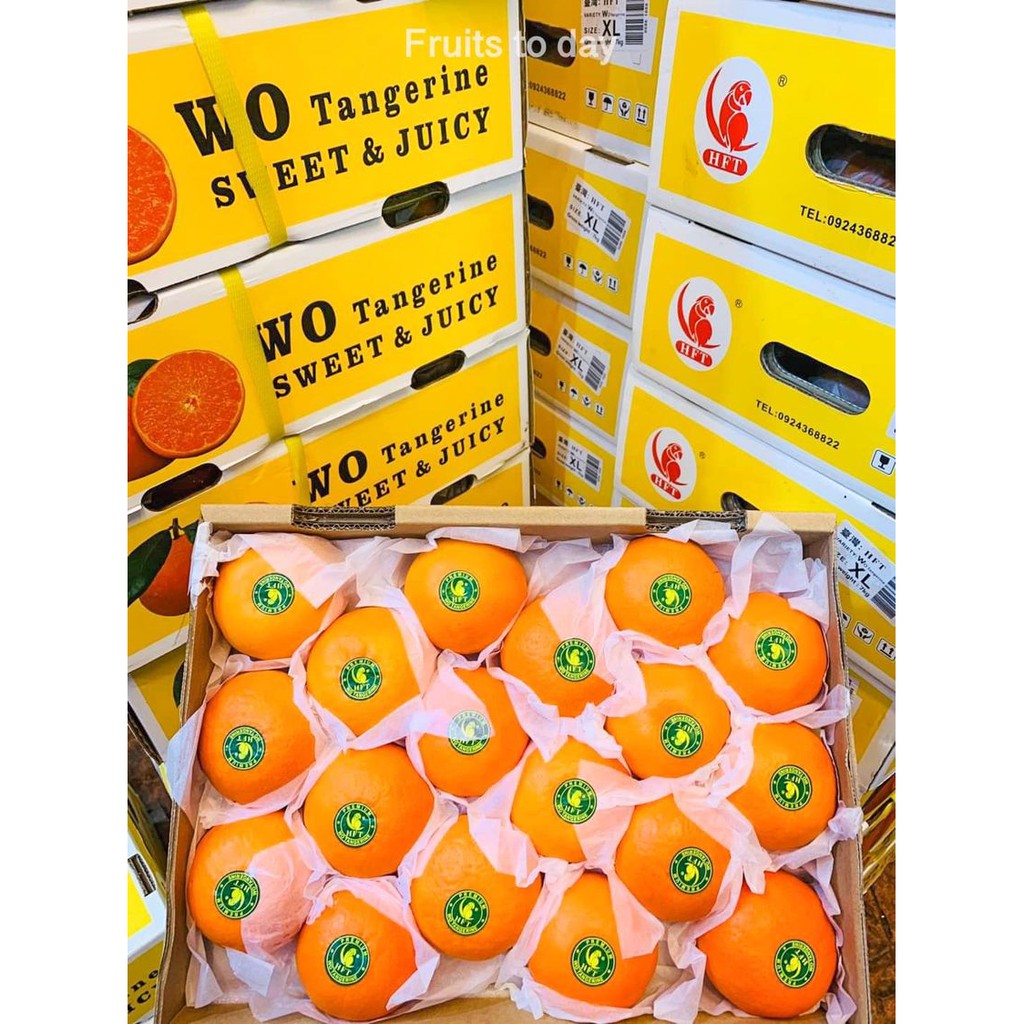 ส้มใต้หวัน wo tangerine🍊
