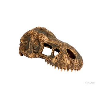 Exo TERRA T-REX SKULL SMALL SECURE HIDING PLACE EXO TERRA HABITAT SETUP DECORATION