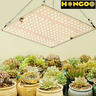 Hengoo⚡️12.12⚡️ไฟปลุกต้นไม้ 220V Full Spectrum LED Grow Light 600W มีสวิตช์ปิดเปิด LM281B ช่วยต้นไม้ตัวเร็ว