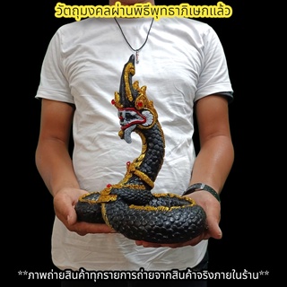 พญานาคราช ตระกูลสีดำ กัณหาโคตมะ 25ซม.ทรงเลข8 เข้าพิธีนาคาภิเษกที่วัดป่าศรีสุทโธคําชะโนด สามารถวางอ่างบัวได้