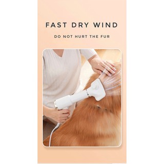 Pet grooming dryer 2 in 1 แปรงหวีไดร์ขนสัตว์เลี้ยง