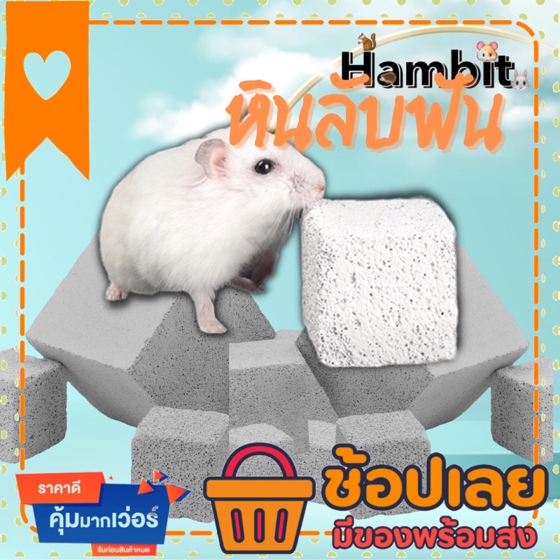 Hambit. หินขัดฟันแฮมสเตอร์ ขัดฟันกระต่าย ขัดฟันหนูแกสบี้ ขัดฟันหนูตะเภา ขัดฟันกระรอก ขัดฟันชินชิล่า