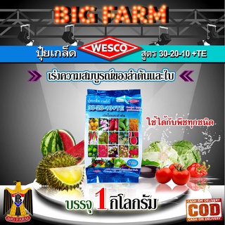 เวสโก้ Wesco ปุ๋ย 30-20-10 +TE(ธาตุรองเสริม) ปุ๋ยเกล็ด เวสโก้ เร่งความสมบูรณ์ของลำต้นและใบ บรรจุ 1 กิโลกรัม