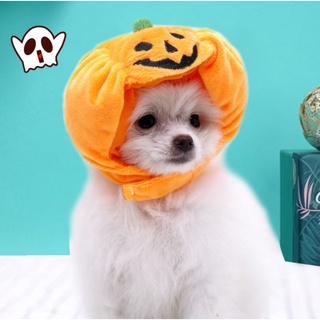 (พร้อมส่ง) หมวกสัตว์เลี้ยง หมวกคลุมหัวสัตว์เลี้ยง แฟนซี ฮาโลวีน Halloween ลายฟักทอง