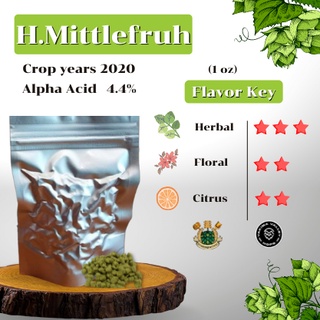 Hallertau Mittelfruh Hops GER (1oz) Crop years 2020 (บรรจุด้วยระบบสูญญากาศ)