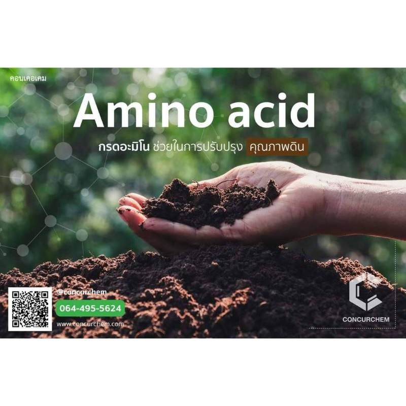 Amino Acid กรดอะมิโนพืช อาหารเสริมพืช ขนาด 500กรัม และ 1000กรัม - รูปที่ 2