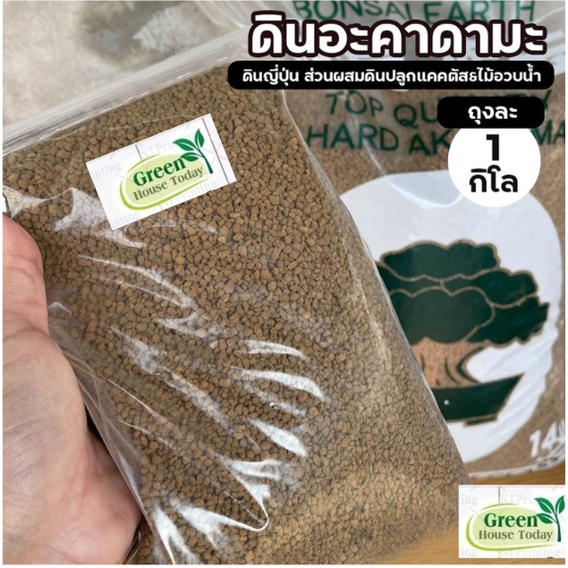 ดินอะคาดามะ ดินญี่ปุ่น Akadama ส่วนผสมดินปลูกแคคตัส&ไม้อวบน้ำถุงละ 1 กก.
