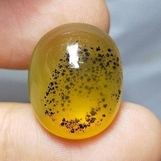 พลอย โอปอล ต้นไม้ ธรรมชาติ แท้ ( Natural Dendritic Moss Opal ) 13.37 กะรัต