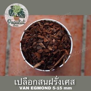 เปลือกไม้สนฝรั่งเศส ขนาด 5-15 มิล  French Tree Bark Nuggets แบรนด์ Van Egmond