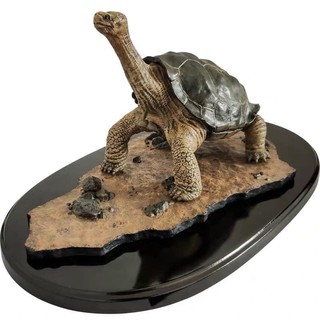 โมเดลเต่าเรซิ่น พร้อมฐาน Lonesome George โลนซัม จอร์จ