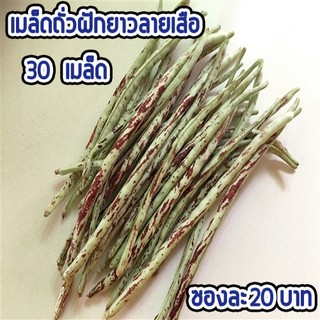 เมล็ดผัก ถั่วฝักยาวลายเสือ พันธุ์พื้นบ้าน