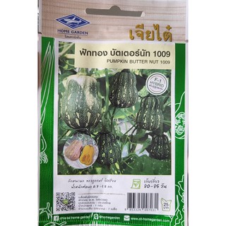 เมล็ดพันธุ์ฟักทอง บัตเตอร์นัทนัท1009 💥หมดอายุ08/2566💥บรรจุประมาณ7เมล็ด ฟักทองน้ำเต้า ฟักทองลูกยาว เนื้อมันมากๆ เก็บผลไว้