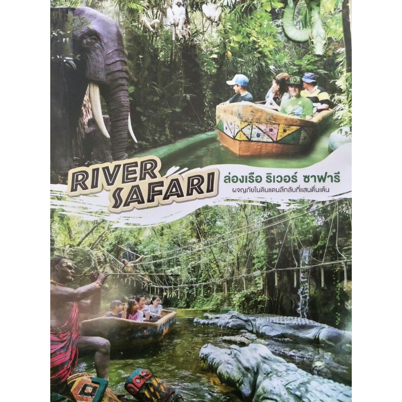 รูปภาพ 8