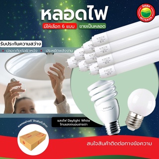 หลอด ไฟ หลอดปิงปอง ไฟLED PHILIPS ขายเป็นหลอด 25W LED BULB หลอดไส้ปิงปอง Daylight White  หลอดประหยัดไฟ มิตสห