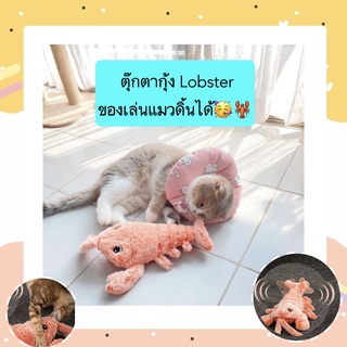 PP-359 ตุ๊กตากุ้ง Lobster ของเล่นแมวดิ้นได้ ช่วยดึงดูดความสนใจ ตุ๊กตาแมว ของเล่นแมวอัตโนมัติ ราคาถูก พร้อมส่ง🧡🍄