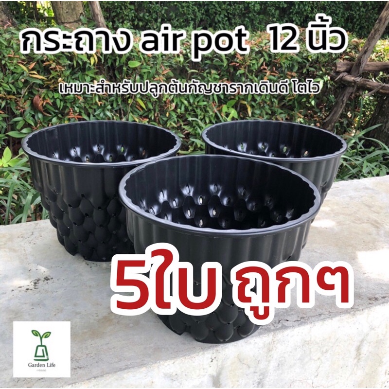 กระถางเร่งราก Airpot กระถางปลูกกัญชา หนาแข็งแรง ขนาด 12 นิ้ว 5-10ใบ