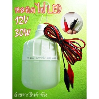 1 ชิ้น หลอดไฟตั้งแคมป์ หลอดไฟแคมป์ปิ้ง หลอดไฟคีบแบตเตอรี่สำเร็จรูป 12V 30W สินค้าพร้อมจัดส่ง