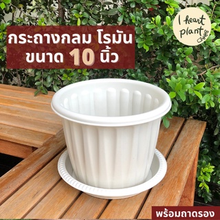 กระถางกลม ทรงโรมัน 10 นิ้ว สีขาว (พร้อมถาดรอง) กระถางไม้ใบ กระถางไม้ดอก กระถางกุหลาบ | Round White Pot 10" with Tray